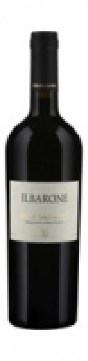 Salice Salentino DOP il Barone 2017