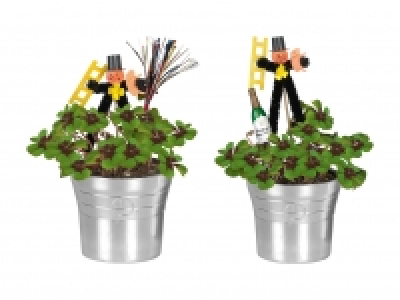 Glücksklee im Sektkübel CHF 2.99