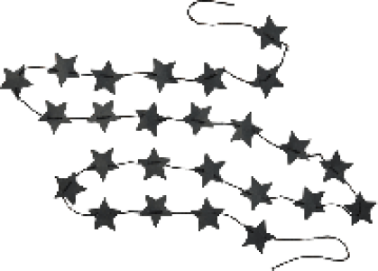 BUNTING Schmuckgirlande CHF 1.45