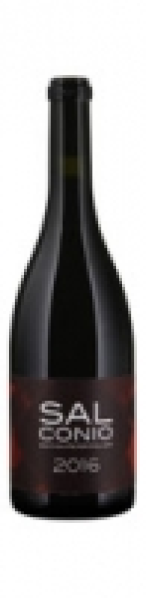 Valais AOC Salconio Edition Peter Keller Albert Mathier & Söhne 2016