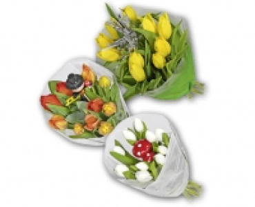 Silvester-Tulpen