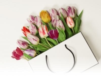 Tulpen CHF 3.99