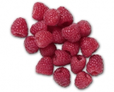 Himbeeren CHF 1.49