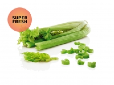 Stangensellerie CHF&nbsp;1.69