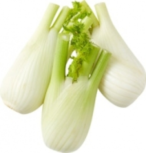 Fenchel CHF 0.99