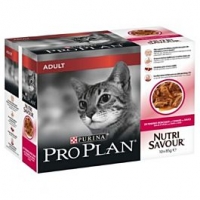 Qualipet  Pro Plan Cat Adult Ente 10x85g