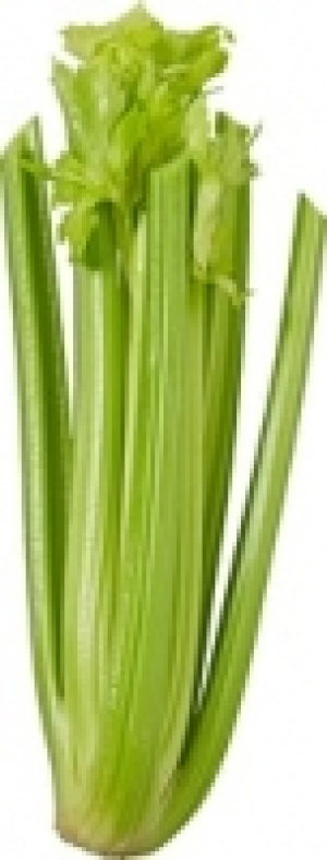 Stangensellerie CHF&nbsp;1.35