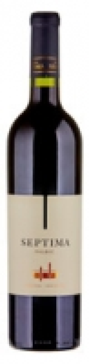 Malbec Mendoza Argentina Bodega Septima 2018 CHF 11.15