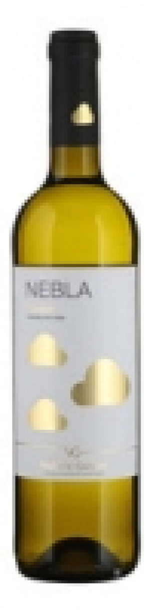 Mondovino  Castilla y Leon DO Nebla Verdejo 2018