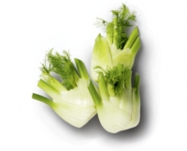 Fenchel CHF 1.39