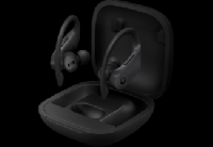 BEATS Powerbeats Pro - True Wireless Kopfhörer (In-ear