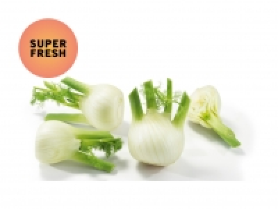 Fenchel (mind. - 30 % auf den aktuellen Tagespreis) CHF 2.49