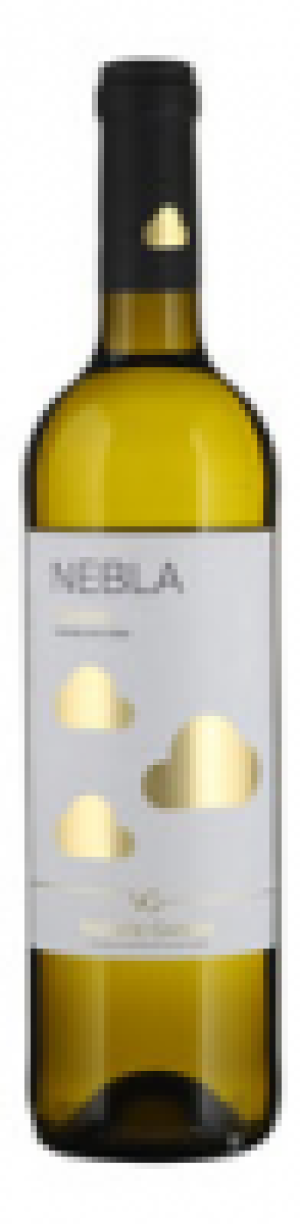 Castilla y Leon DO Nebla Verdejo 2019 CHF 8.95