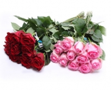 FAIRTADE MAX HAVELAAR Fairtrade Max Havelaar-Rosen