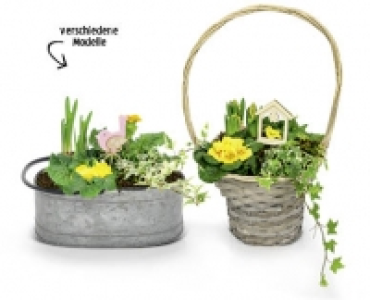 Fruhlingskorb CHF&nbsp;14.95