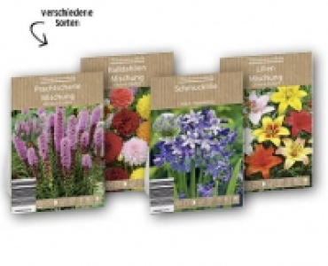Blumenzwiebeln CHF 1.79