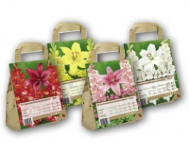 Blumenzwiebeln CHF 4.99