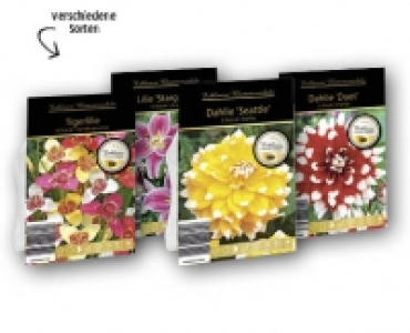 Exklusive Blumenzwiebeln CHF 2.99