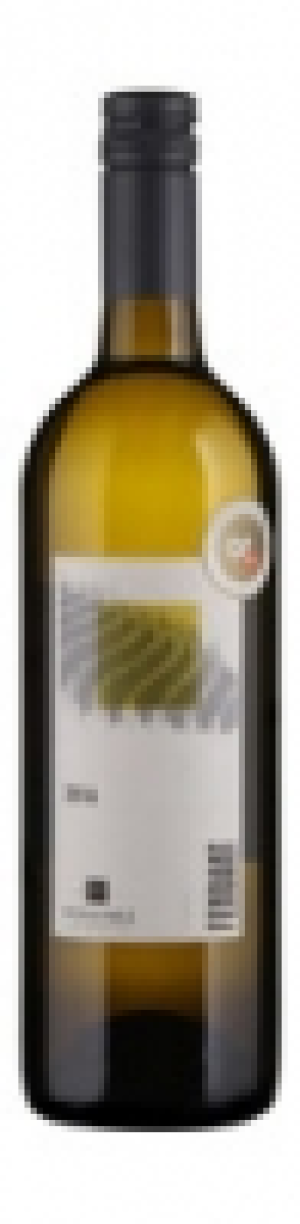 Valais AOC Fendant Chasselas Caves Orsat 2016