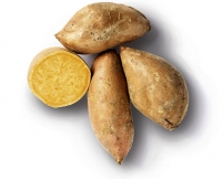 Aldi Suisse  Susskartoffeln