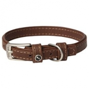 Rogz Hunde Lederhalsband braun CHF 24.90