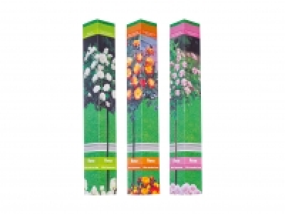 Rosenstamm in Faltschachtel CHF 6.99