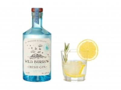 Wild Burrow Gin CHF 19.99