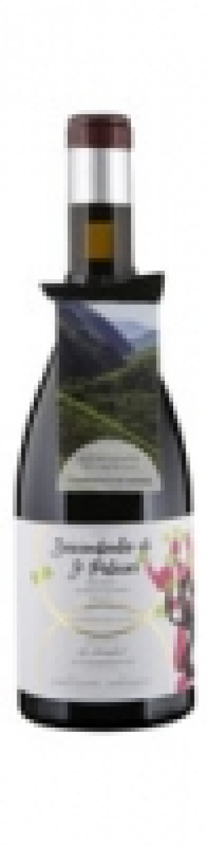 Mondovino  Bierzo DO Cooperation Wine Descendientes de J. Palacios 2017
