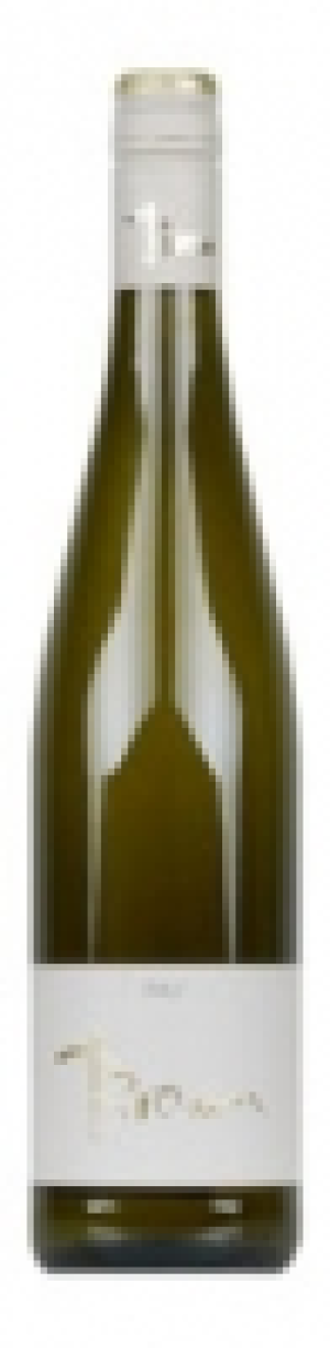 Mondovino  Riesling Pfalz trocken Braun 2018