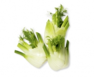 Fenchel CHF 1.49