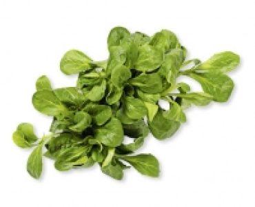 Schweizer Nüsslisalat CHF 2.29