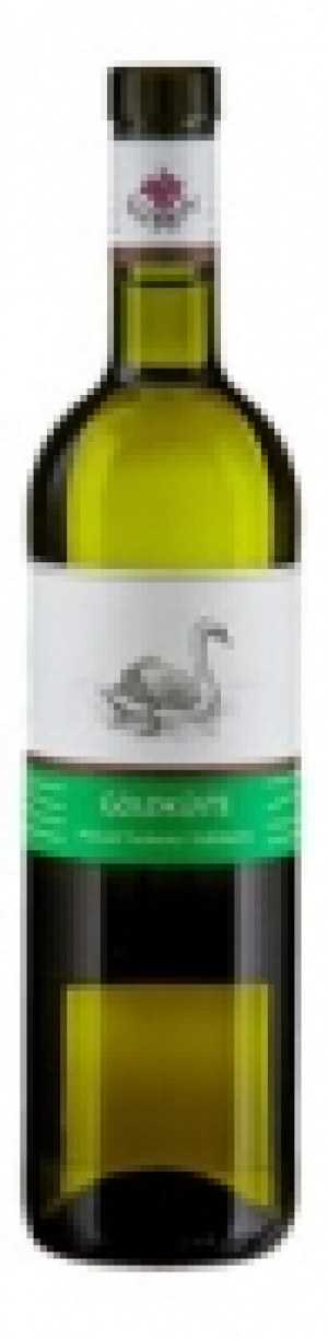 Zürich AOC Goldküste Federweisser 2019