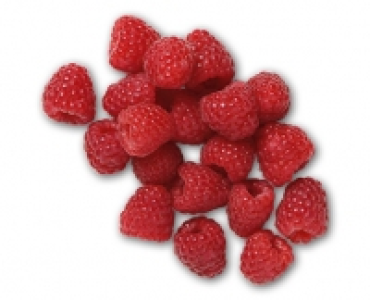 Himbeeren CHF 1.39