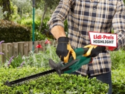 Lidl  12 V-Akku-Heckenschere