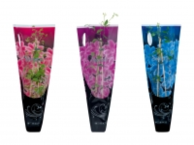 Clematismix CHF 4.99