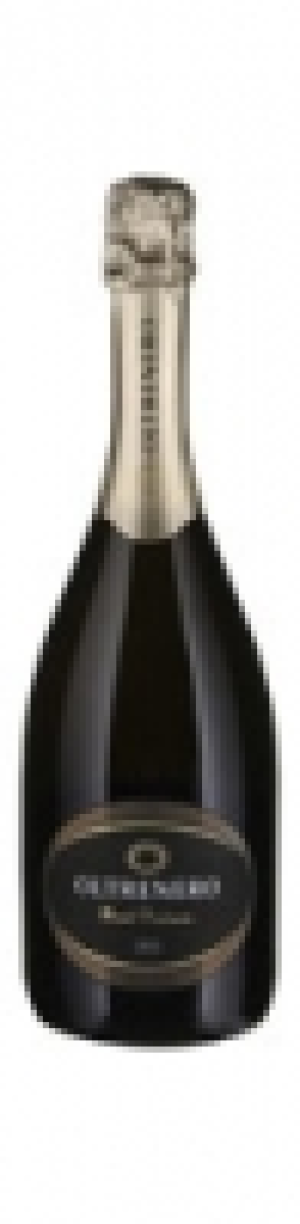 Oltrepò Pavese DOCG Oltrenero Brut Nature Il Bosco 2013