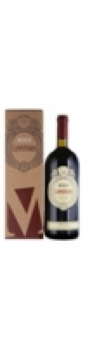 Magnum Verona IGT Campofiorin Masi Agricola 2016