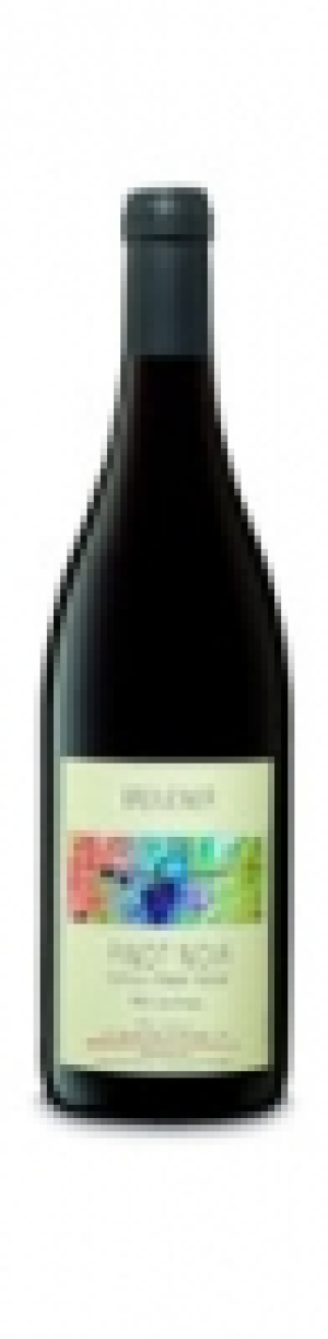 Zürichsee AOC Pinot Noir Edition Peter Keller Weinbau Schwarzenbach 20