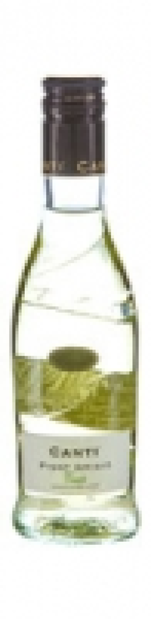 Pinot Grigio Canti Veneto 2019