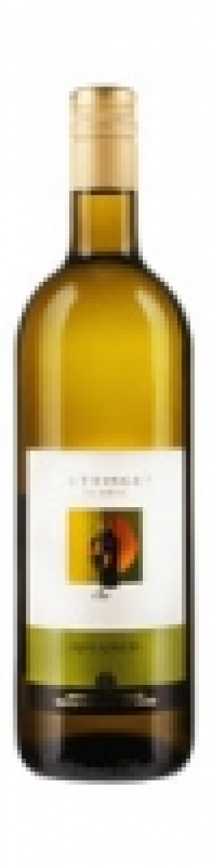 Wettinger Aargau AOC Rivaner 2017