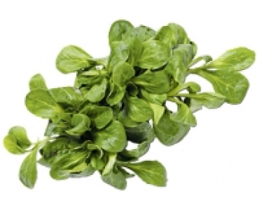 SCHWEIZER NÜSSLISALAT CHF 1.99