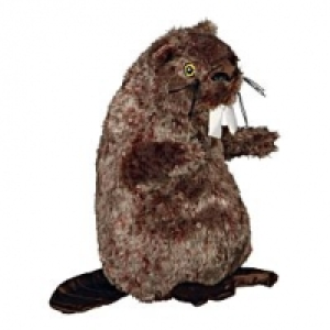 Trixie Biber 27cm mit Tierstimme