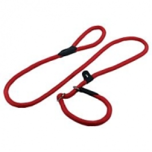 Retriever-Leine Fun Royal 170cm CHF 14.65