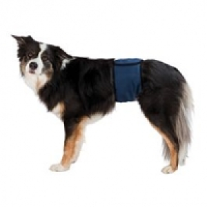 Qualipet  Trixie Rüdenbinde