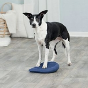 Qualipet  Trixie Dog Activity Balance Kissen 28x28x4cm