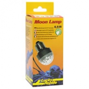 Lucky Reptile Moon Lamp