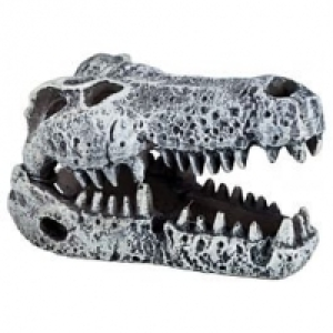 Qualipet  Décoration daquarium crâne de dinosaure 6cm