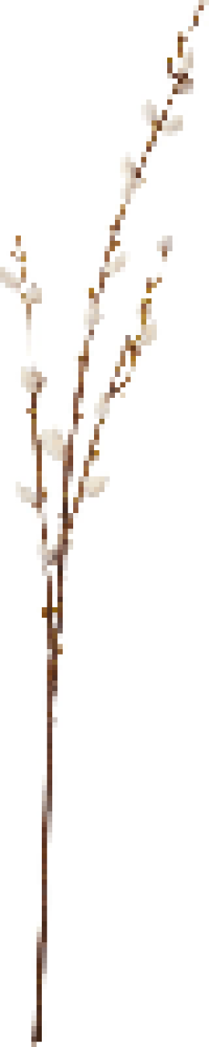 SPRING Kunstblume CHF 9.05