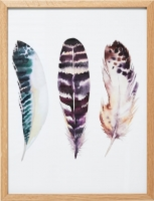 FEATHER I Bild gerahmt CHF 31.40