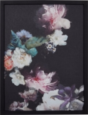 PURPLE BLOSSOM Bild gerahmt CHF 34.90